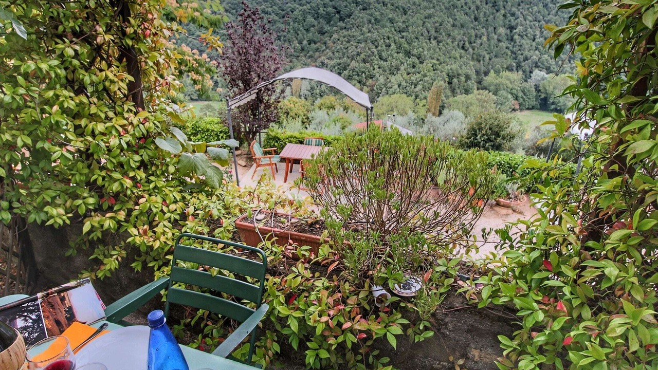 Photo of Outdoor in Bettona