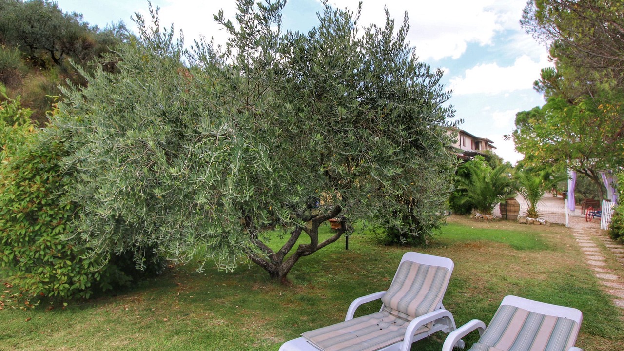 Photo of Outdoor in Bettona