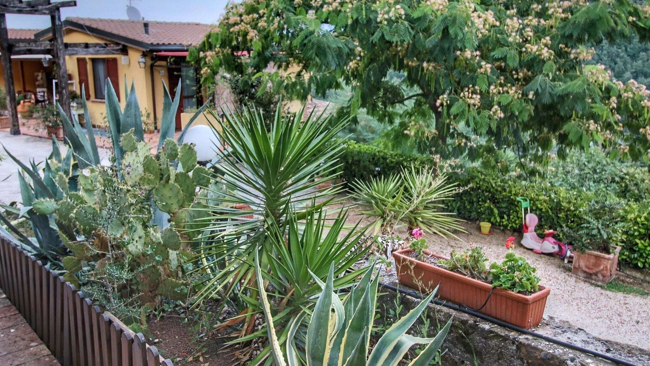 Photo of Outdoor in Bettona