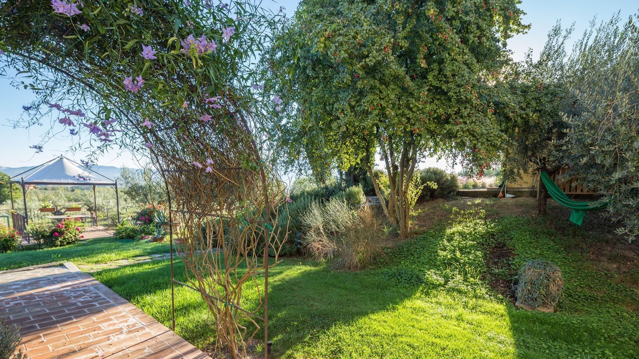 Photo of Outdoor in Cannara