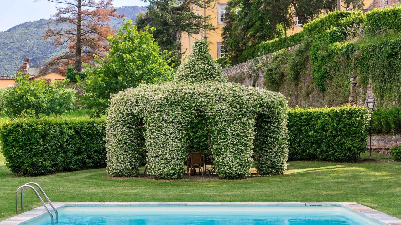 Photo of Outdoor in Capannori