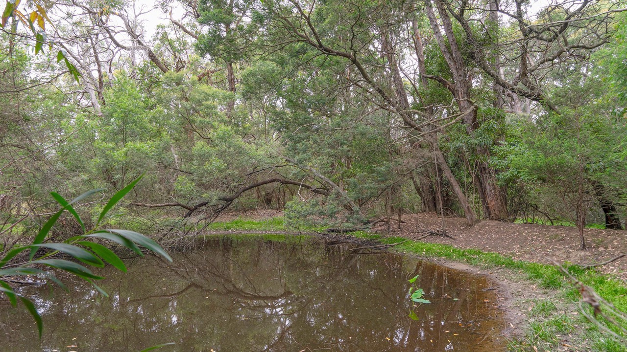 Photo of Outdoor in Balnarring