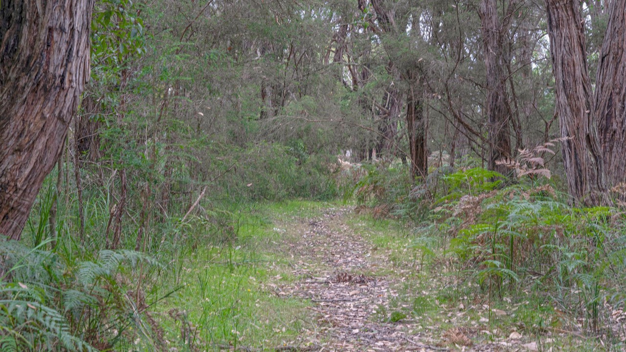 Photo of Outdoor in Balnarring