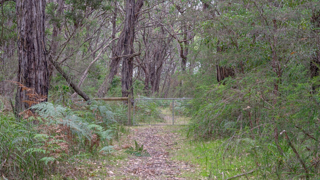 Photo of Outdoor in Balnarring