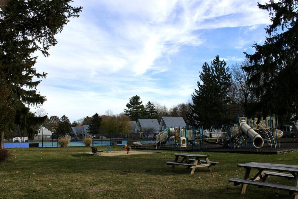 Photo of Others in Stevensville