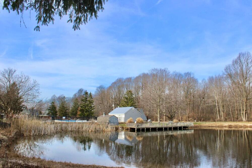 Photo of Others in Stevensville