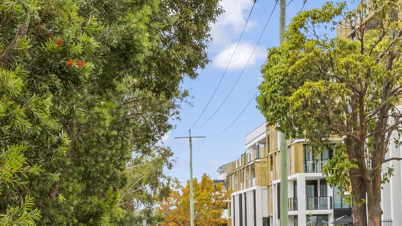 Photo of Outdoor in Oakleigh
