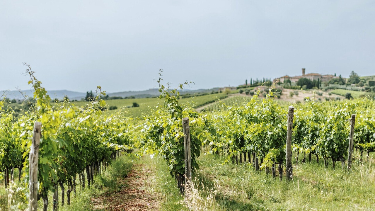 Photo of Outdoor in Castelnuovo Berardenga