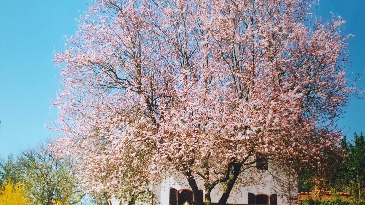 Photo of Outdoor in Dudda