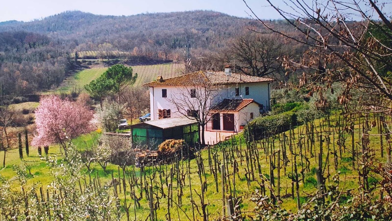 Photo of Outdoor in Dudda