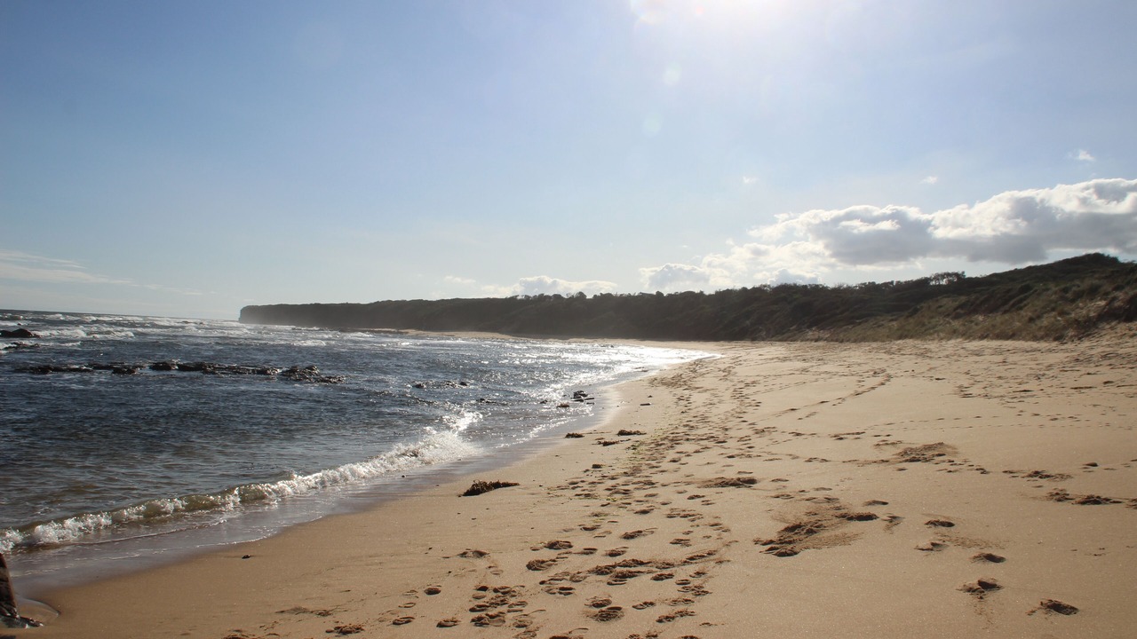 Photo of Others in Harmers Haven