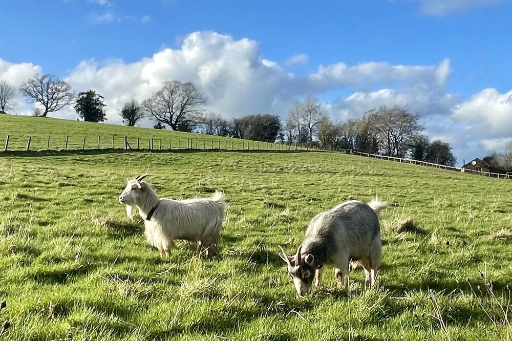 Photo of Others in Usk