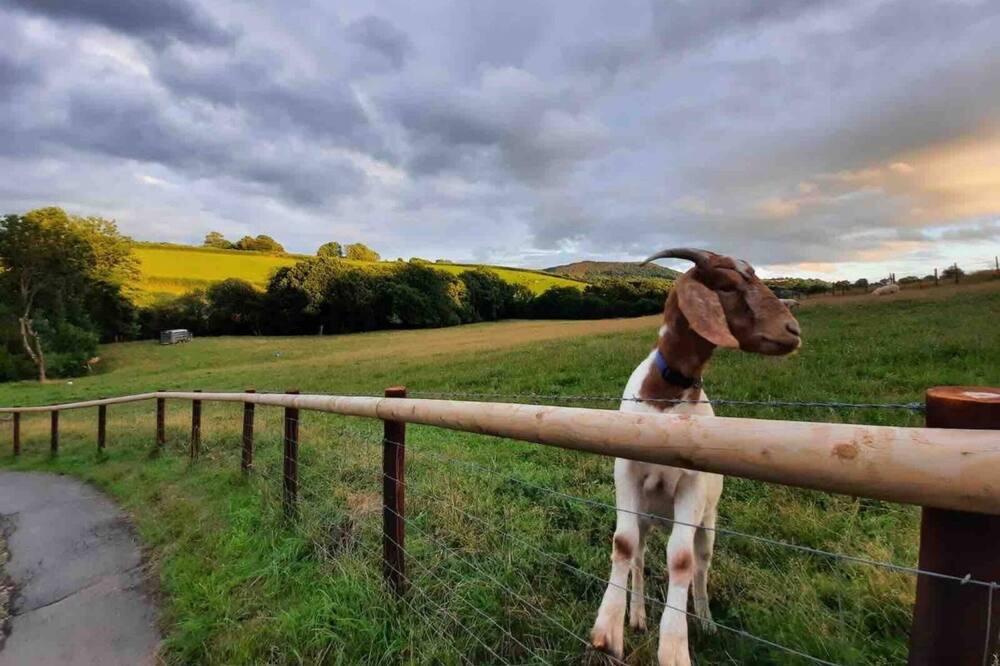 Photo of Others in Usk