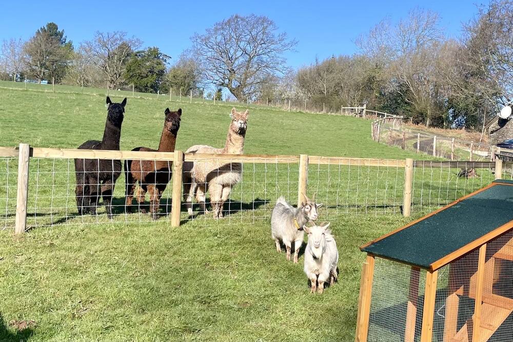 Photo of Outdoor in Usk