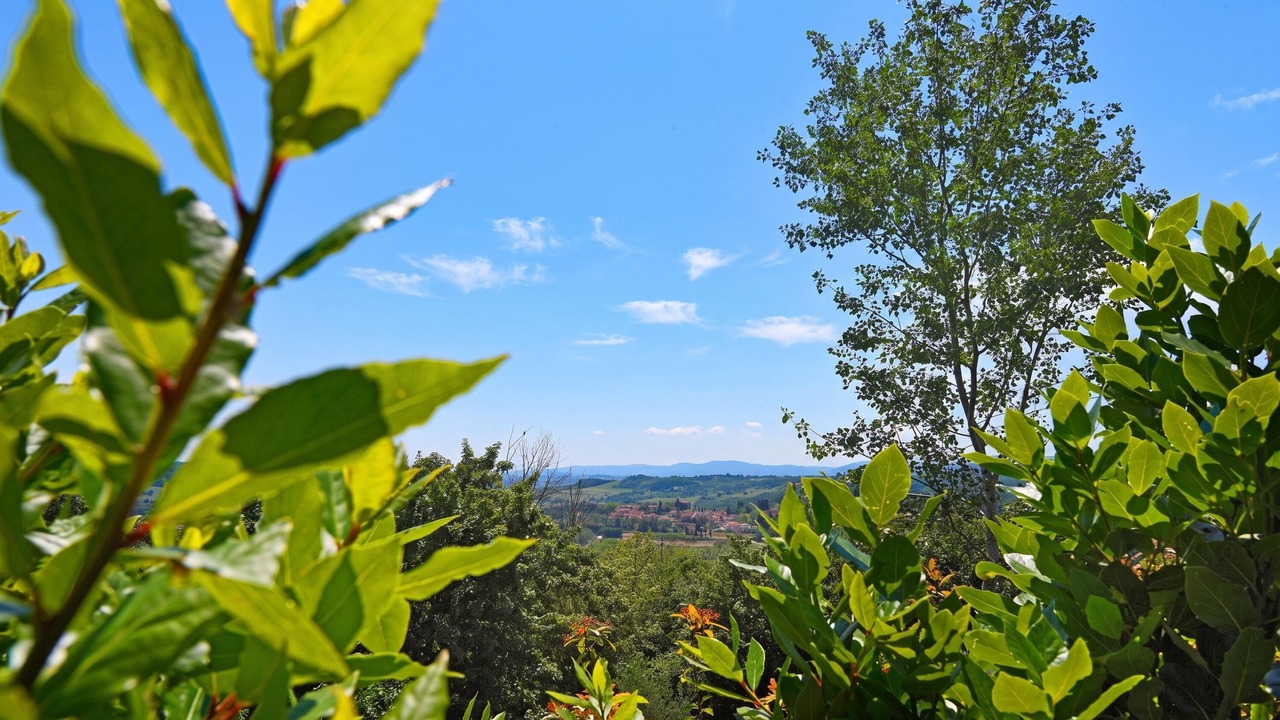 Photo of Outdoor in Rignano sull'Arno