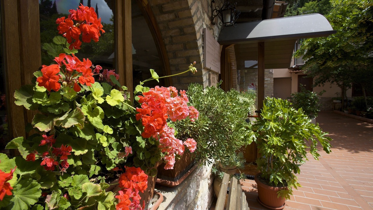 Photo of Outdoor in Assisi