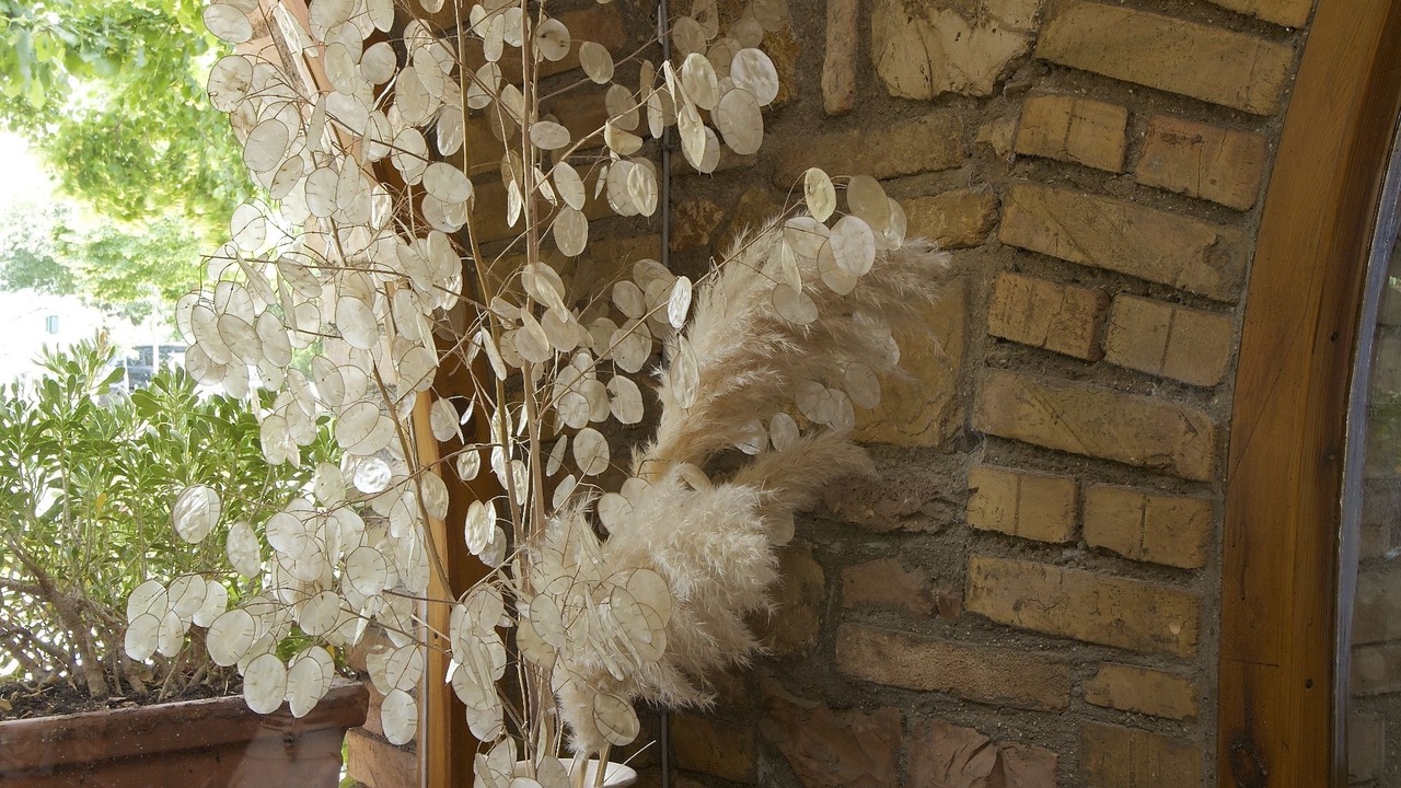 Photo of Others in Assisi