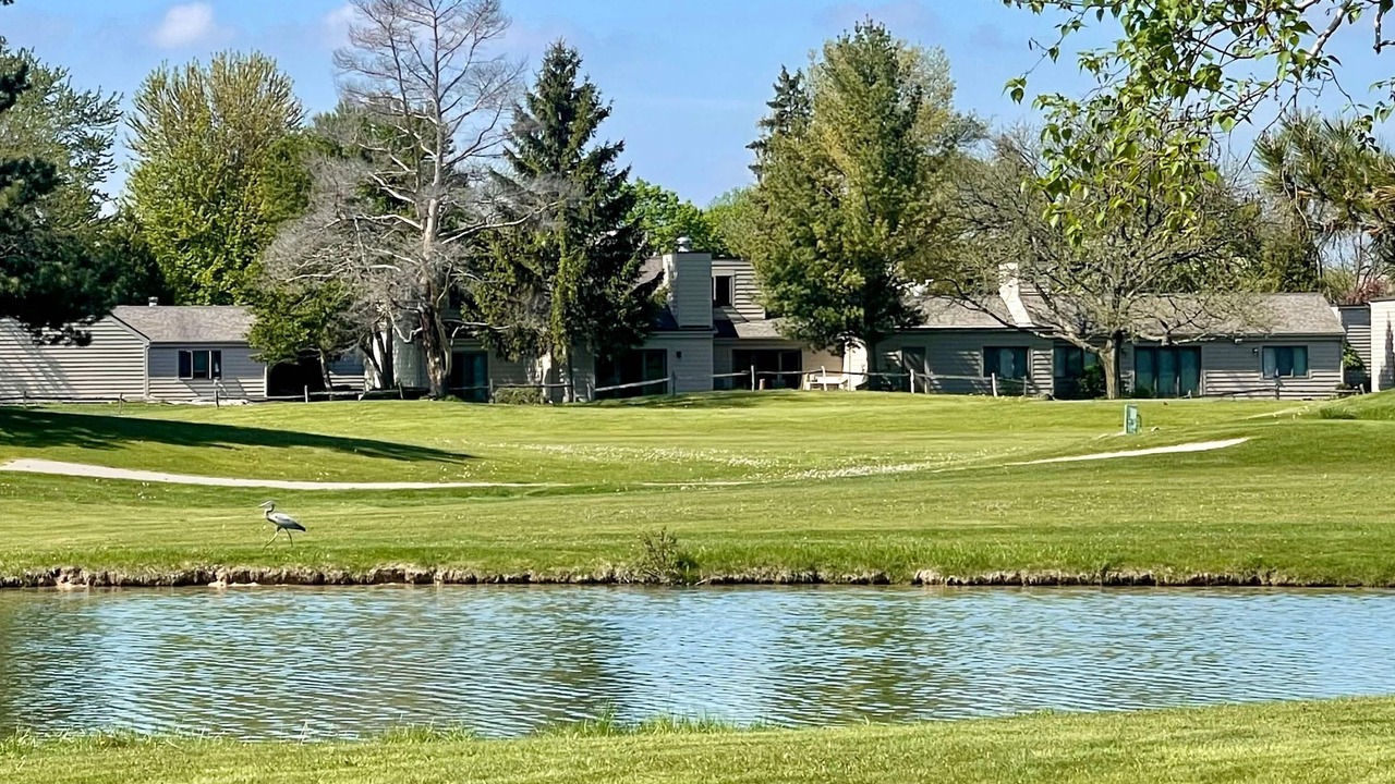 Photo of Others in Bay City