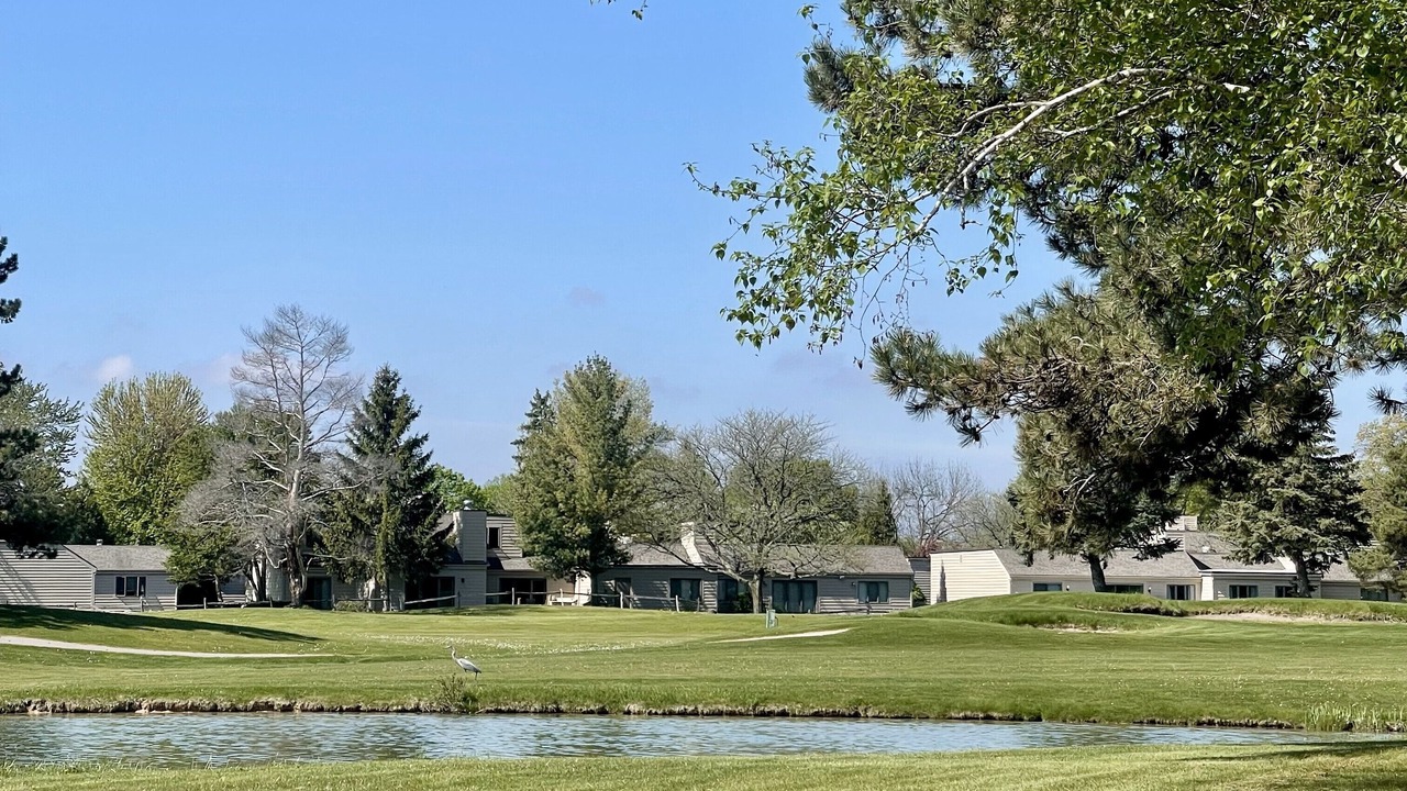 Photo of Others in Bay City