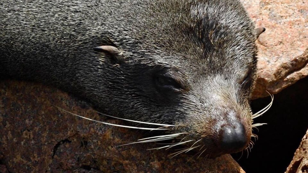 Photo of Others in Lakes Entrance