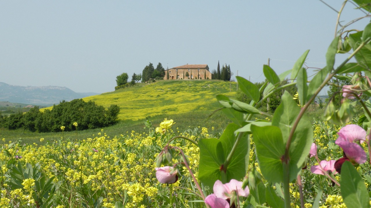 Photo of Others in Pienza