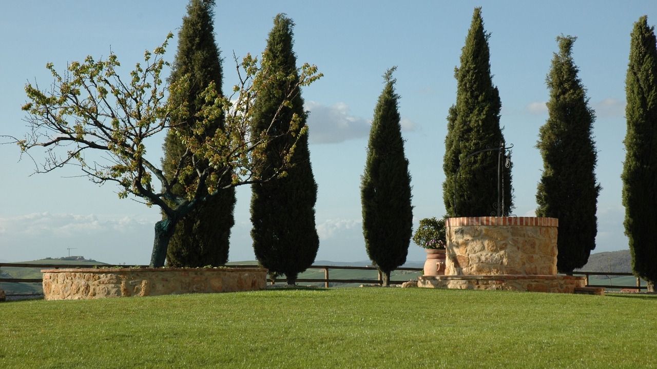 Photo of Outdoor in Pienza