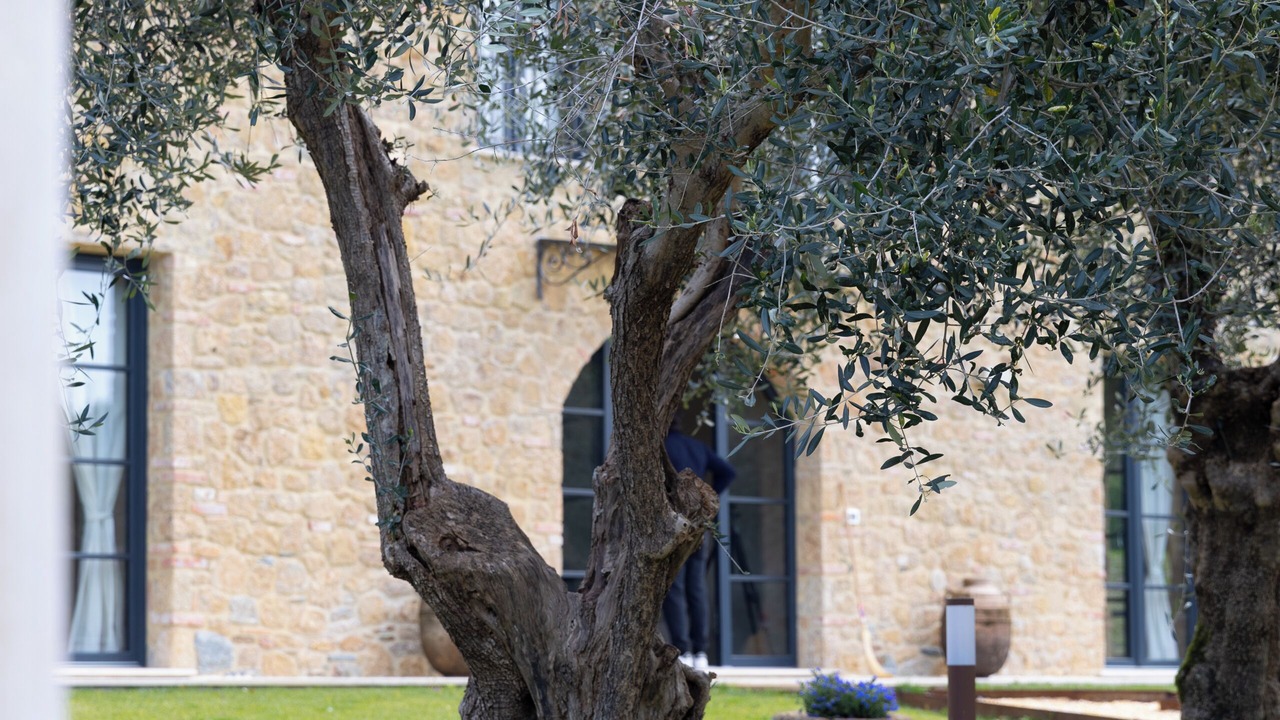 Photo of Outdoor in Massa
