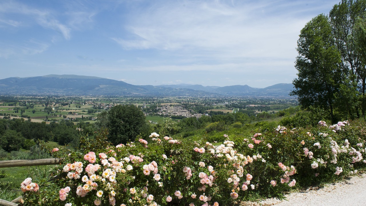 Photo of Others in Bevagna
