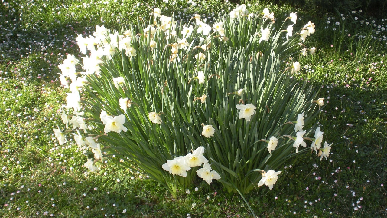 Photo of Outdoor in Castiglione del Lago