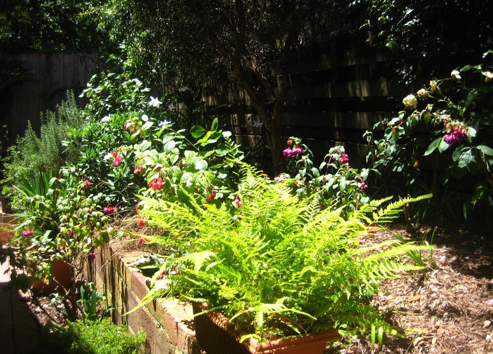 Photo of Patio Balcony in Croydon