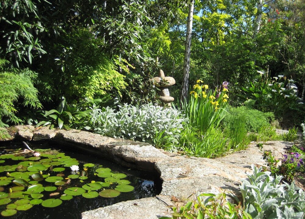 Photo of Outdoor in Croydon