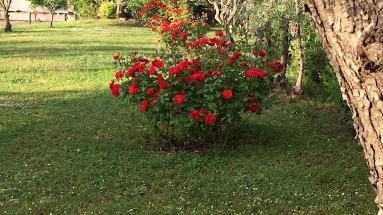 Photo of Outdoor in Bivio Pozzo