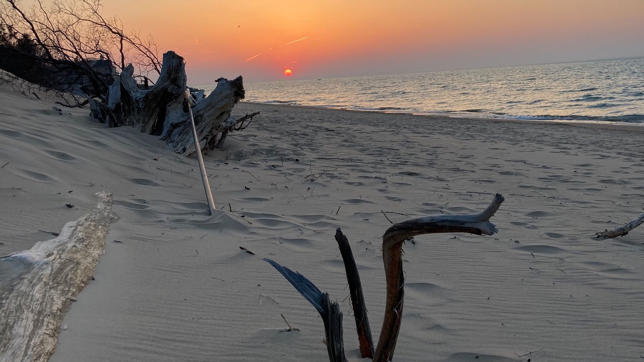 Photo of Others in Michigan City