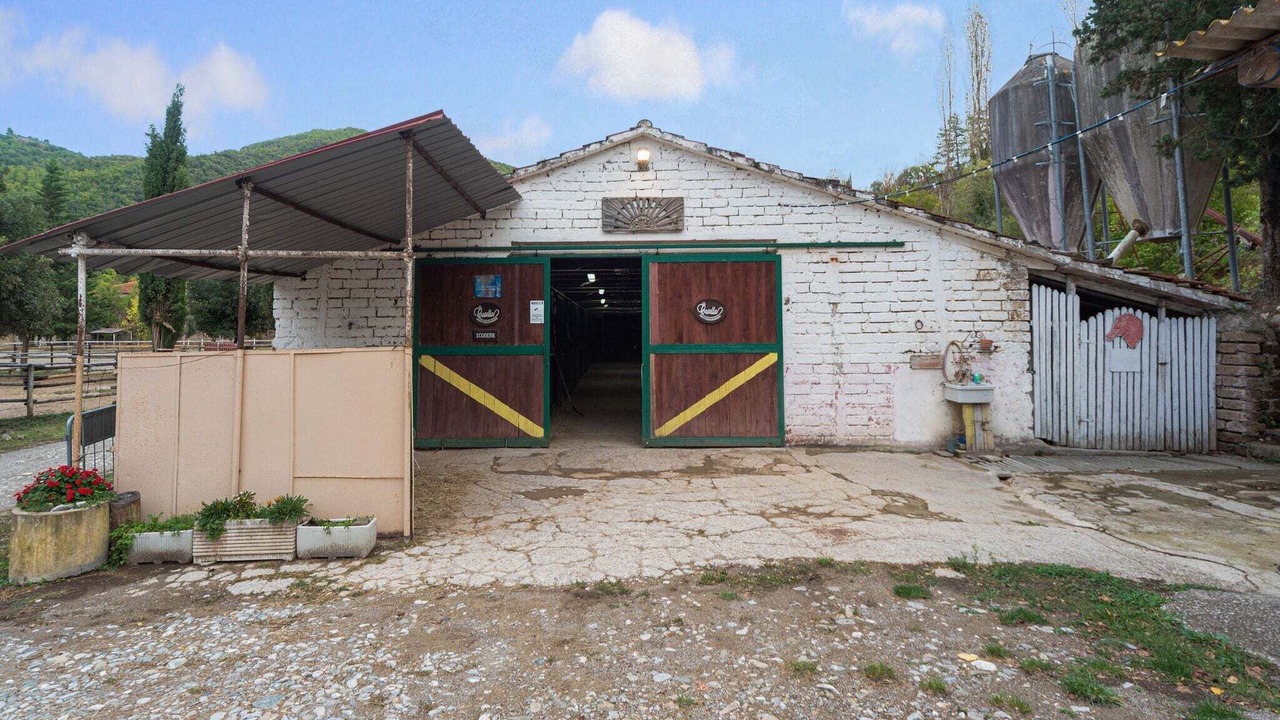 Photo of Outdoor in Ficulle