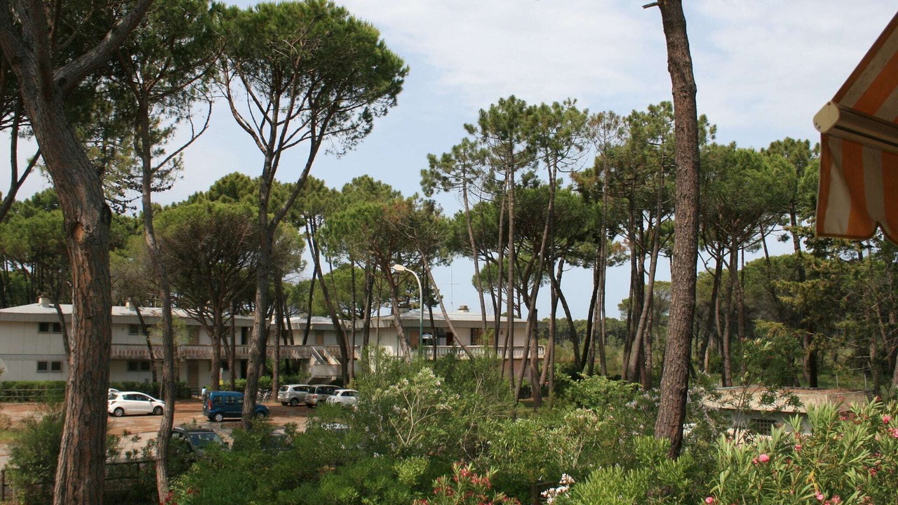 Photo of Others in Principina a Mare