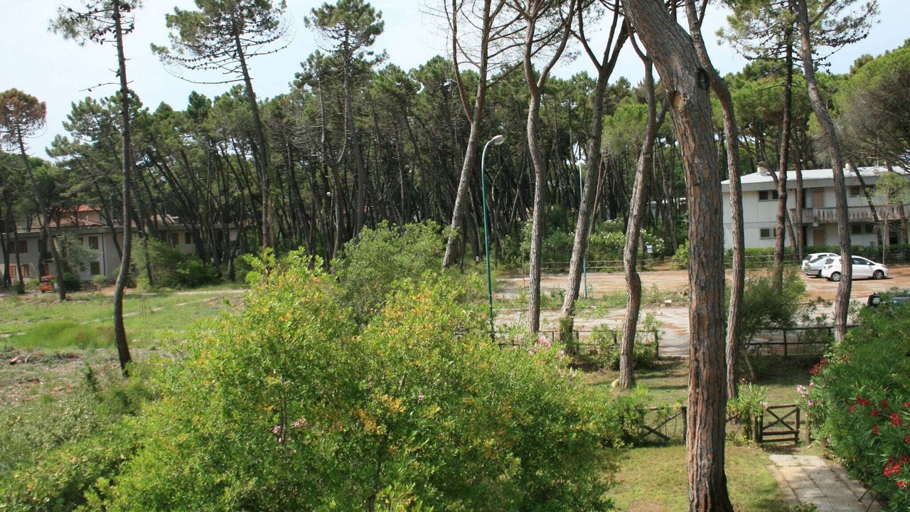 Photo of Others in Principina a Mare