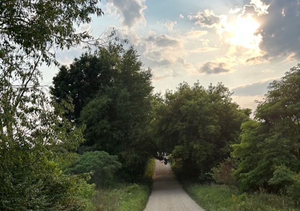 Photo of Outdoor in Delton