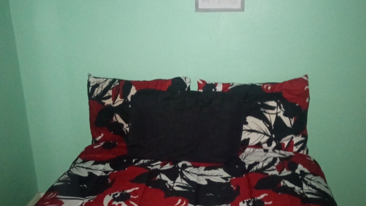 Photo of Bedroom in Downtown Toledo