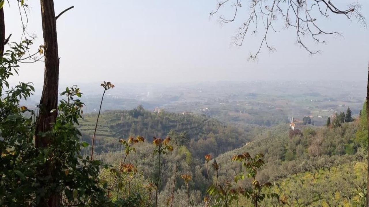 Photo of Others in Vinci