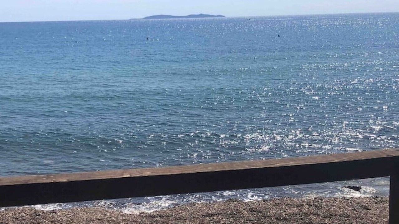 Photo of Others in Monte Argentario