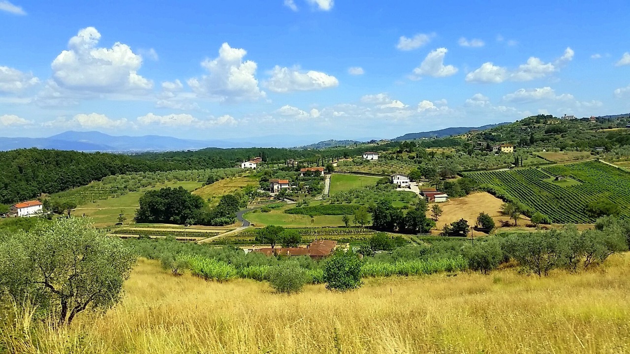 Photo of Others in Poggio Alla Cavalla