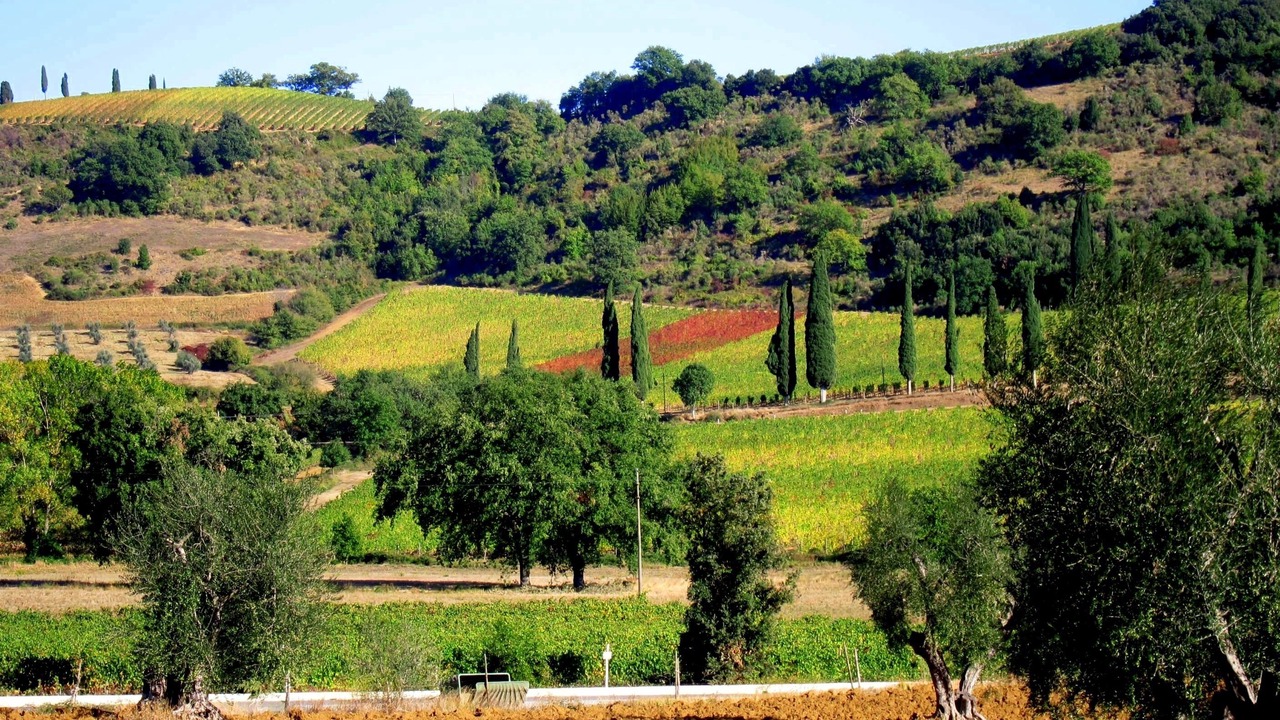 Photo of Others in Poggio Alla Cavalla