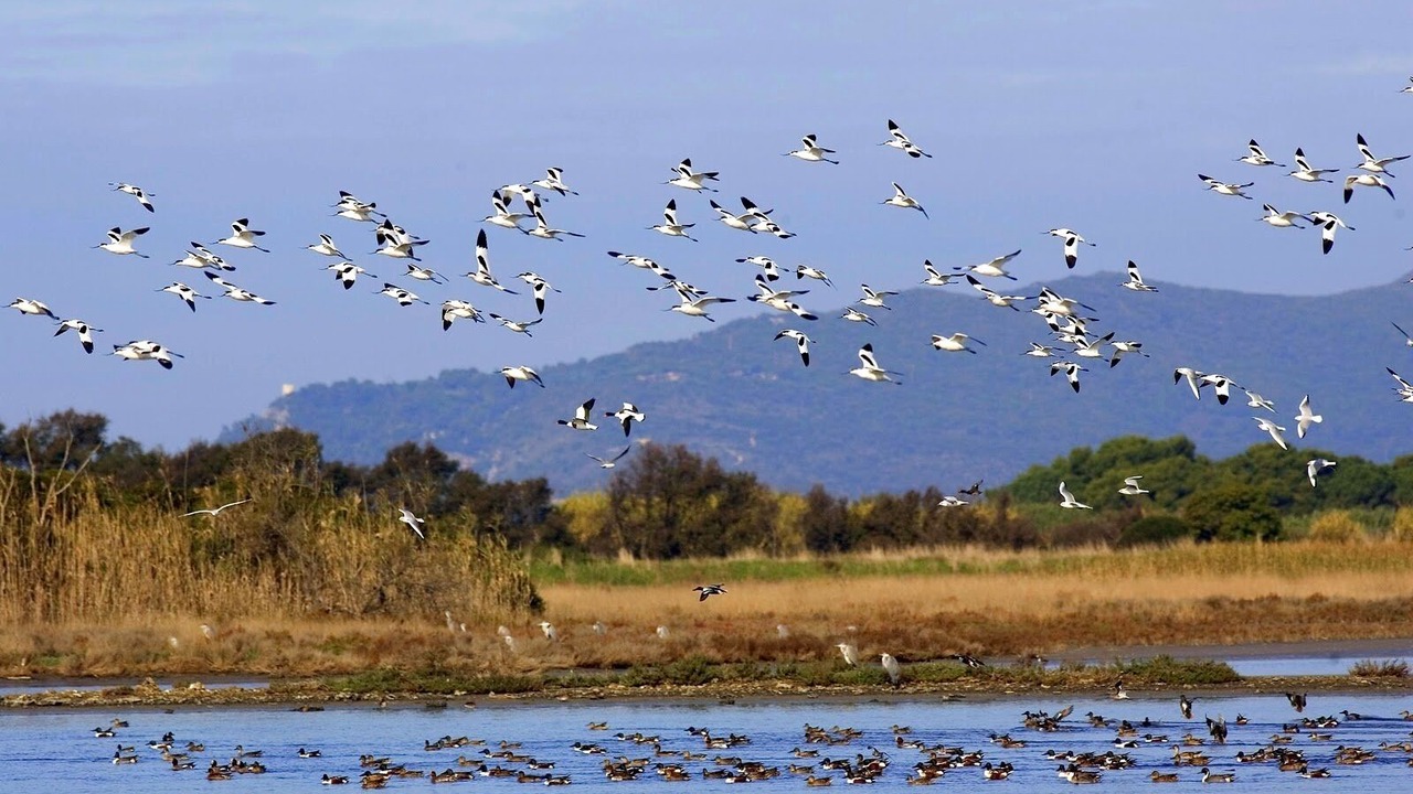 Photo of Others in Poggio Alla Cavalla