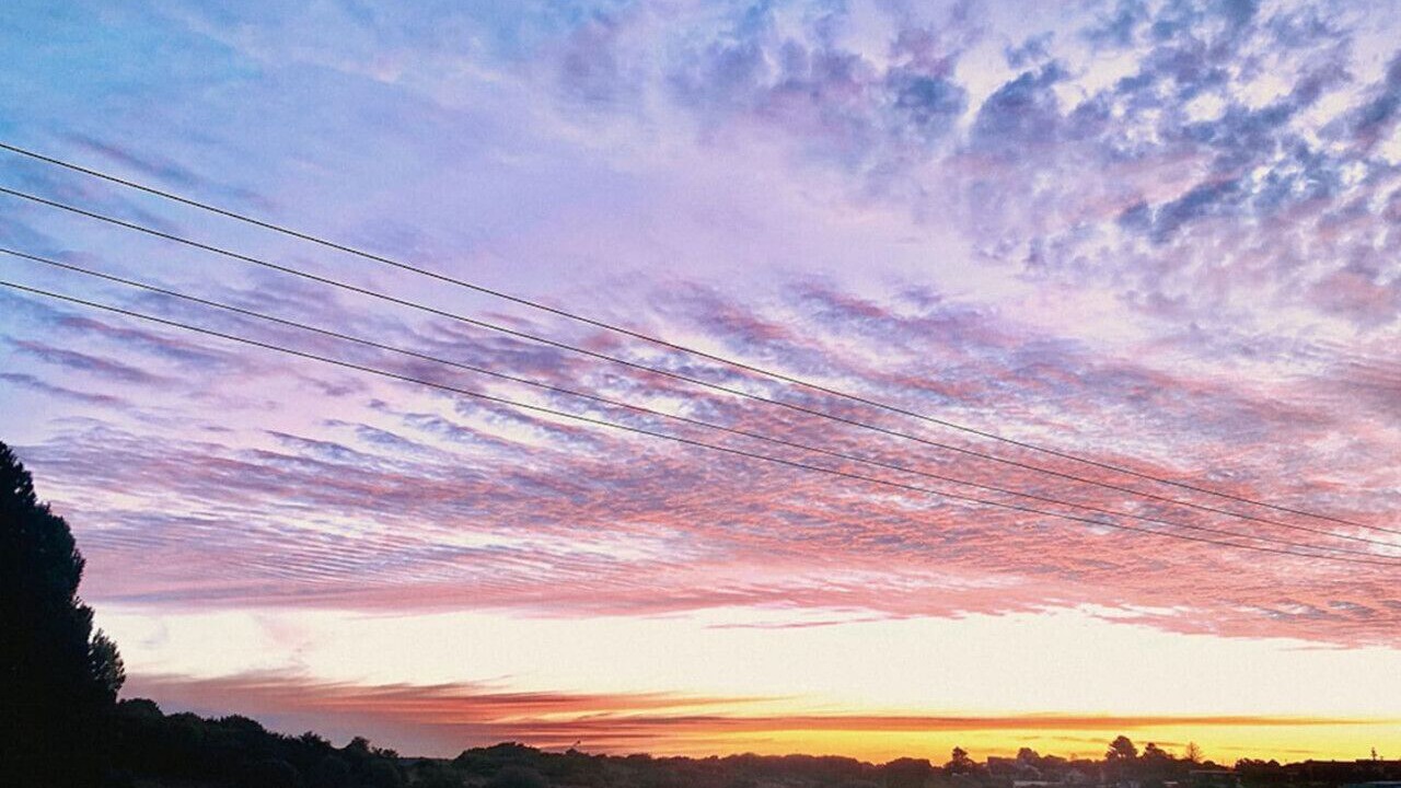 Photo of Others in Warrnambool