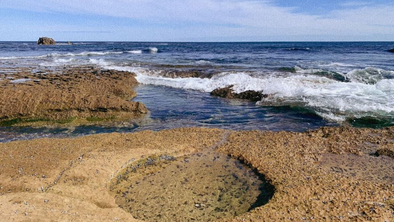 Photo of Others in Warrnambool