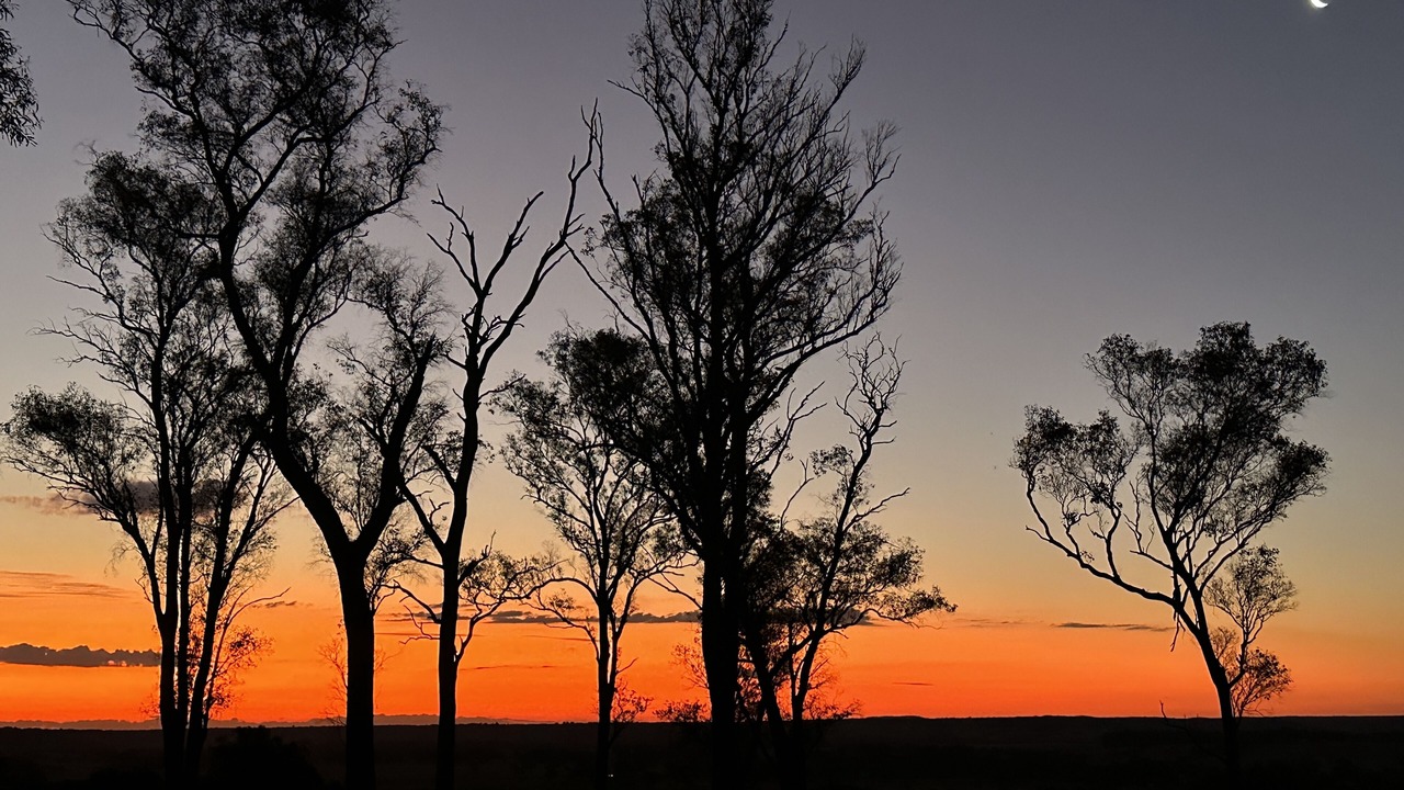 Photo of Others in Orbost