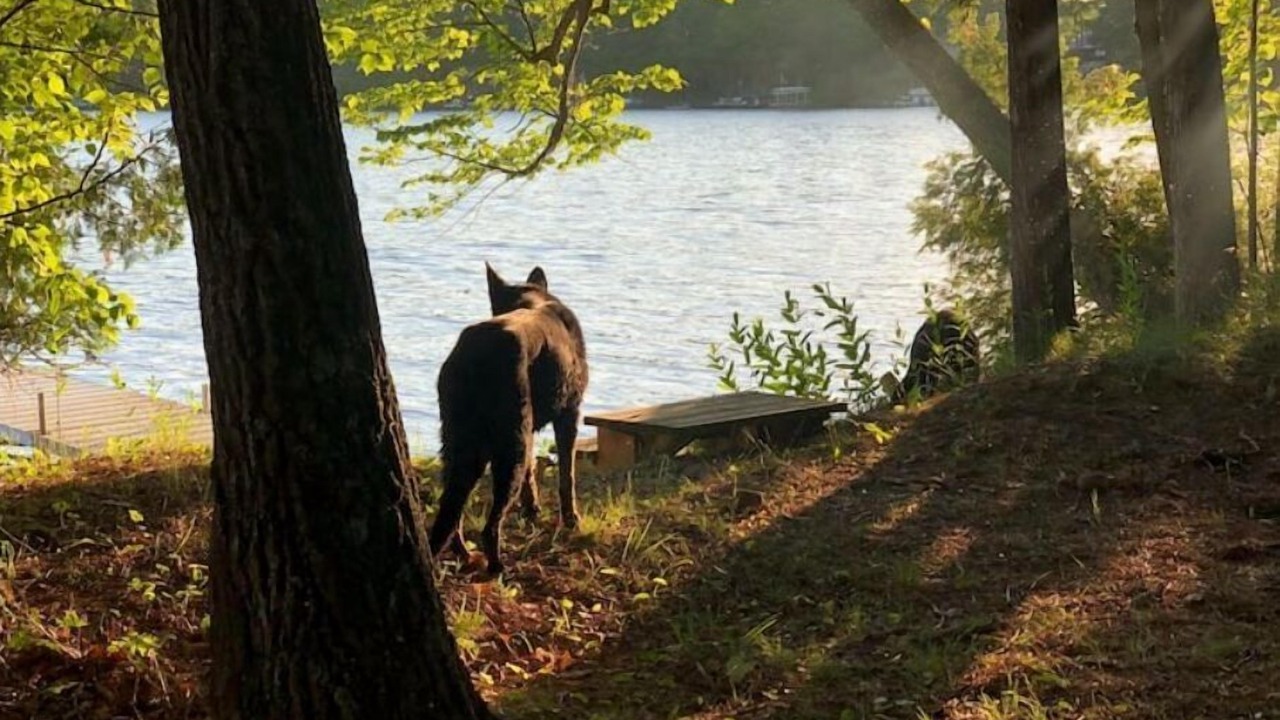 Photo of Outdoor in Suring