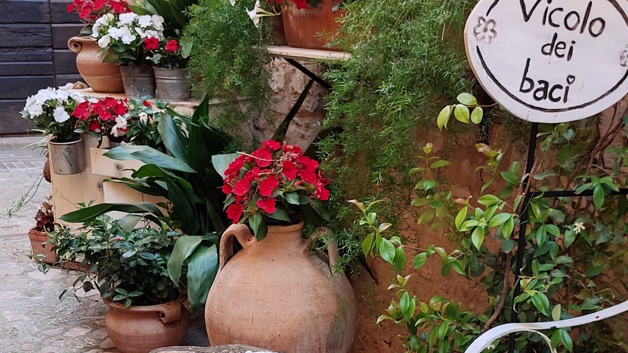 Photo of Outdoor in Spello