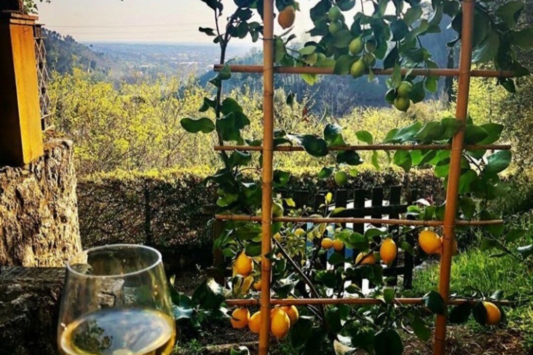 Photo of Outdoor in Camaiore