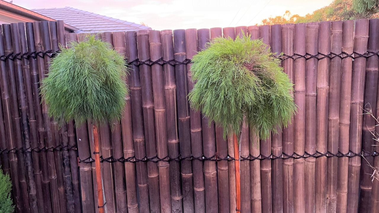 Photo of Outdoor in Mildura